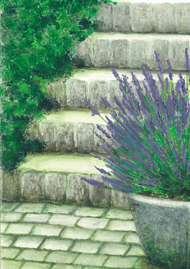 Drawing of Garden Steps