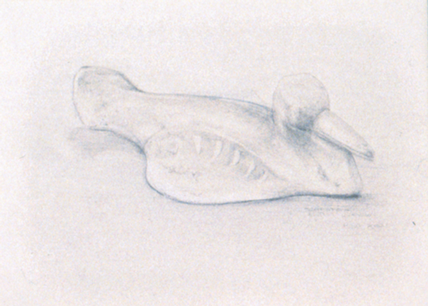 Silverpoint Drawing of a Seagull